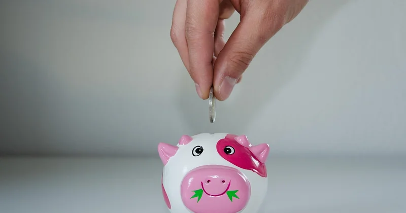 Les services de la caisse des Côtes d'Armor : ce qu'on ne vous dit pas