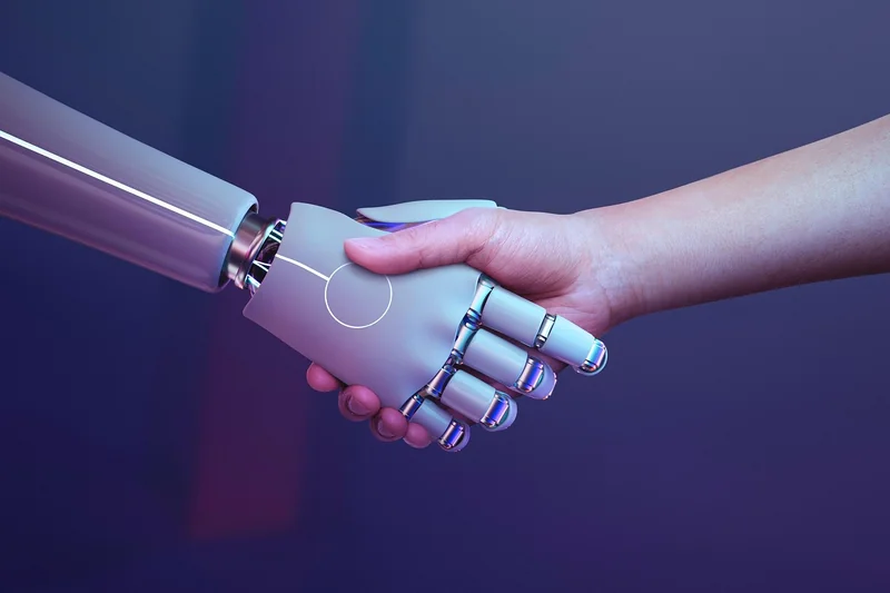 Fonctionnalités essentielles de la plateforme