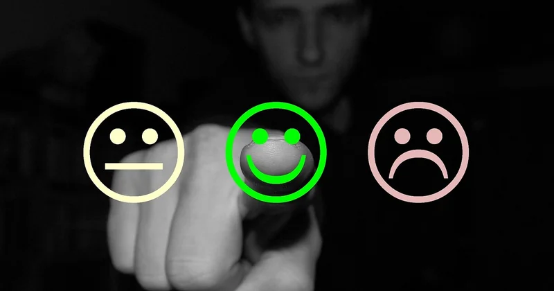 Les avis clients : que disent ceux qui ont déjà loué ?