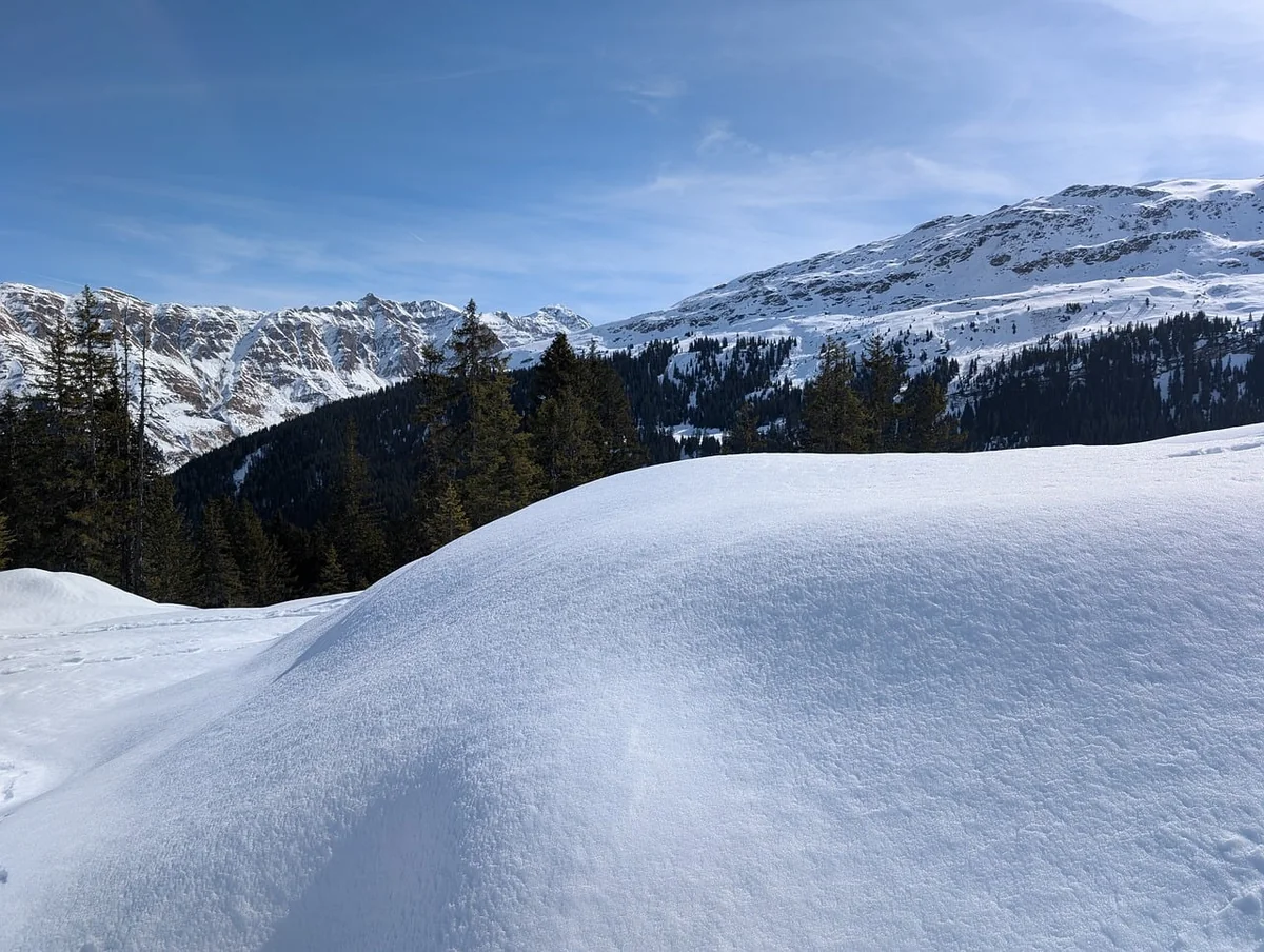 Découvrez le salaire cariste suisse en 2026 : ce que vous devez savoir !