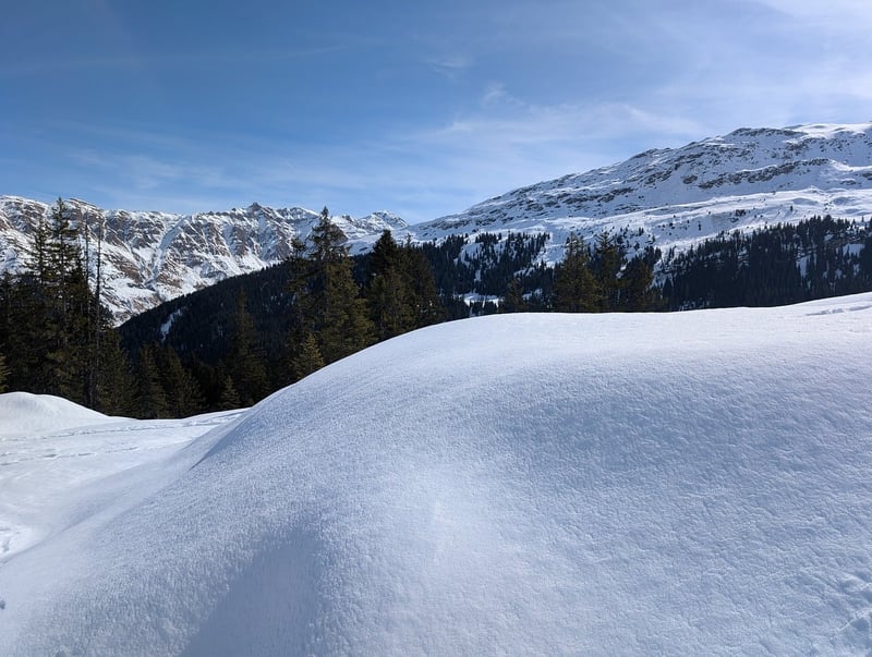 Découvrez le salaire cariste suisse en 2026 : ce que vous devez savoir !