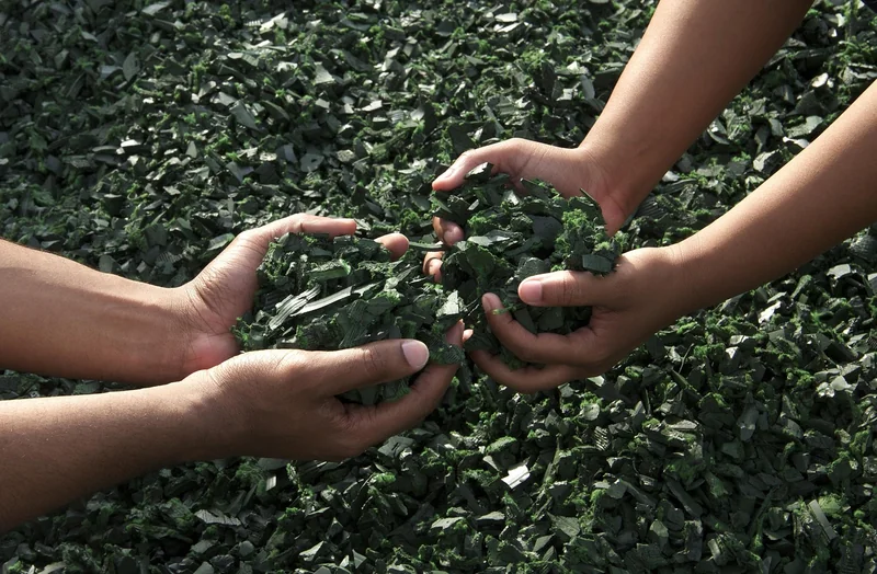 Pourquoi j'ai abandonné le PVC pour le polycarbonate recyclé