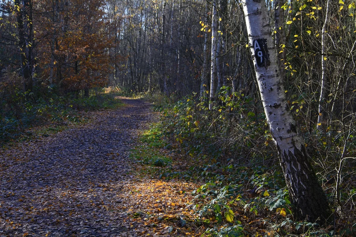 Après la signature : ce que tout employeur oublie